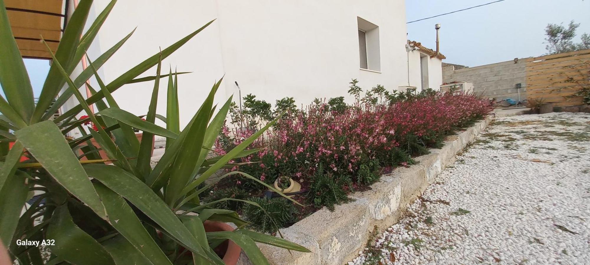 Almademari Giglio Casa Vacanza باكينو الغرفة الصورة